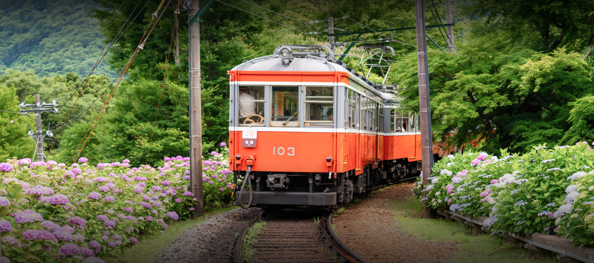 箱根強羅温泉旅館組合 