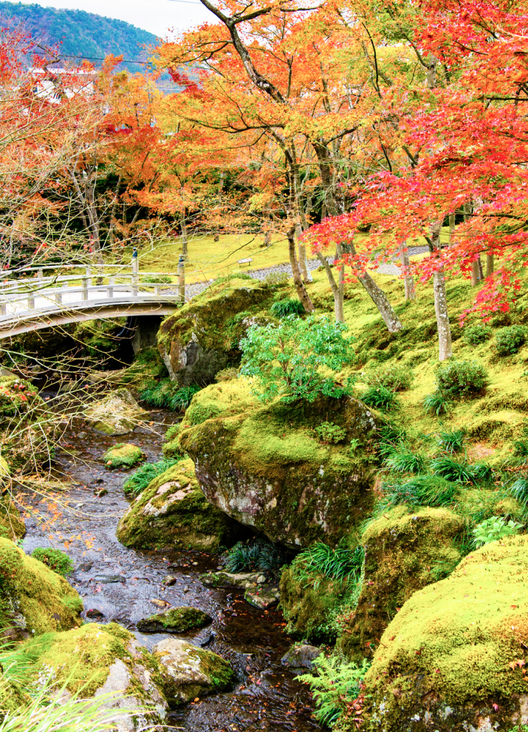 箱根強羅温泉旅館組合 